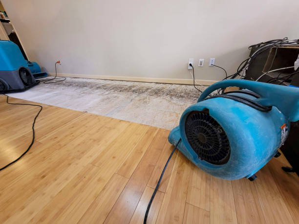 Professional Water Extraction technician working in Foley, MN